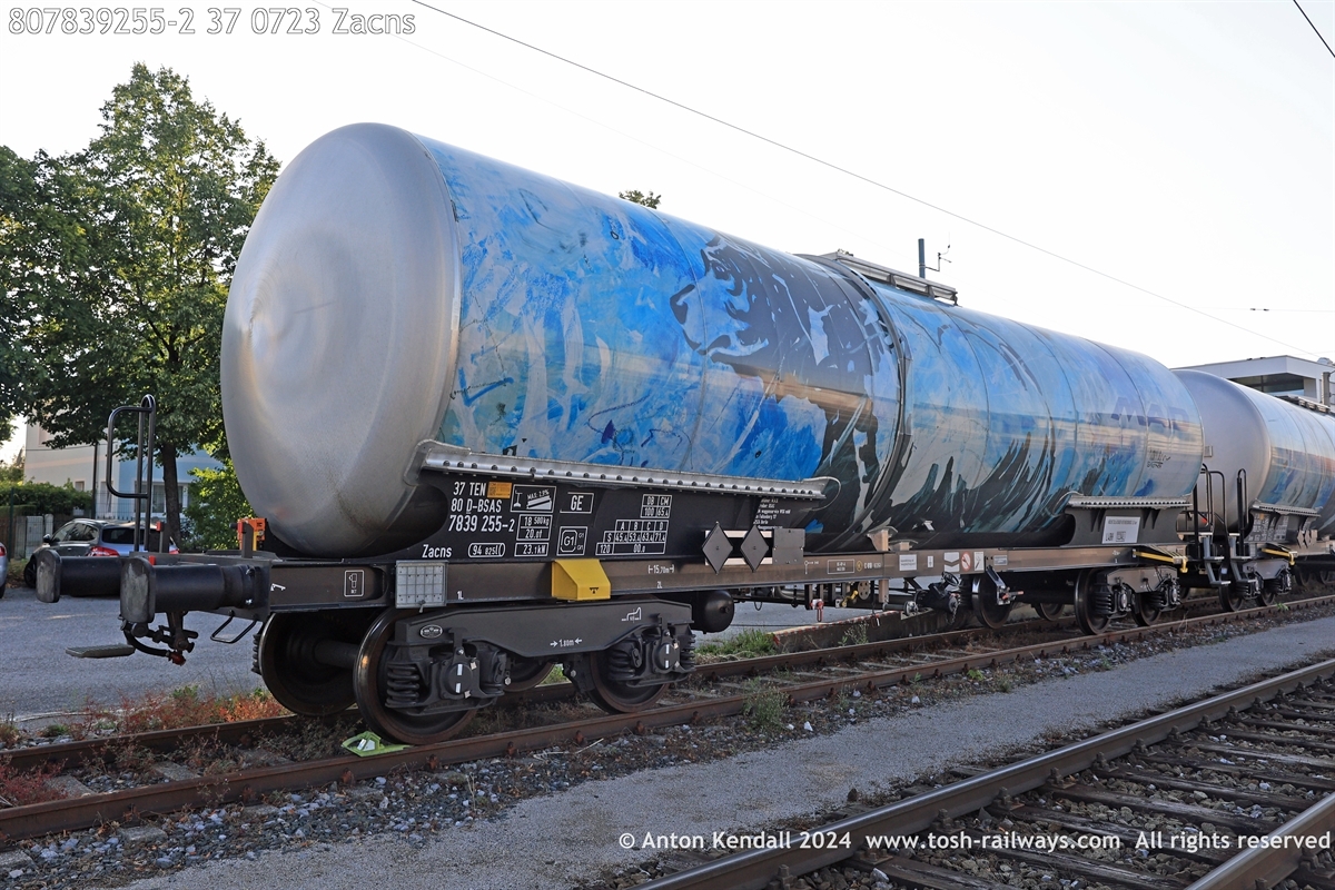 807839255-2_37 0723 Zacns (2).JPG